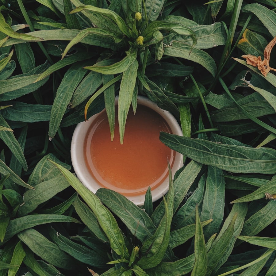 شاي بالنعناع المجفف